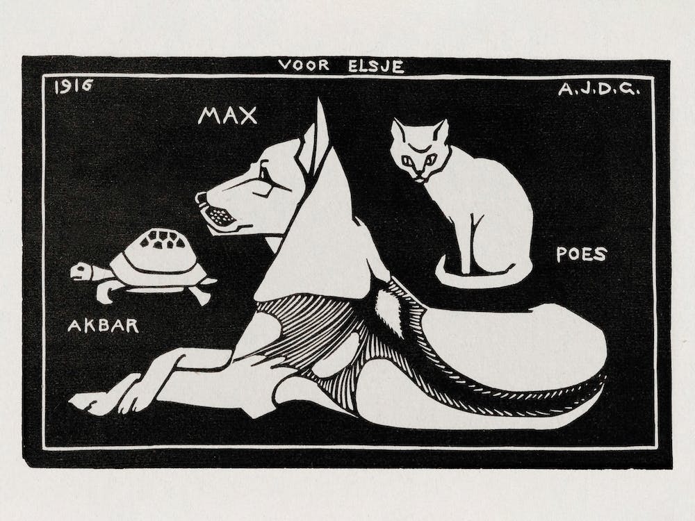 Akbar The Tortoise, Max The Dog And Puss The Cat, Julie De Graag