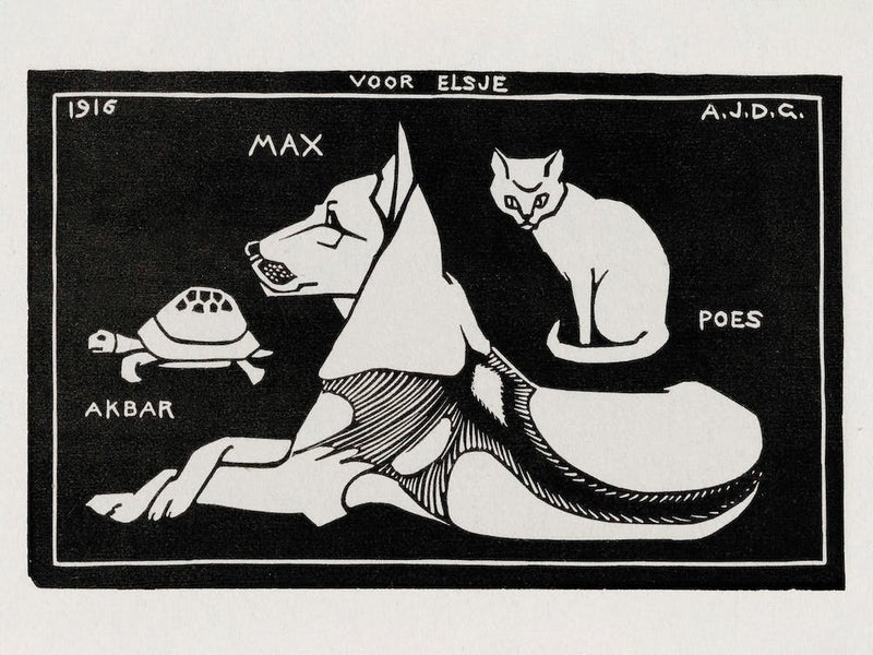 Akbar The Tortoise, Max The Dog And Puss The Cat, Julie De Graag
