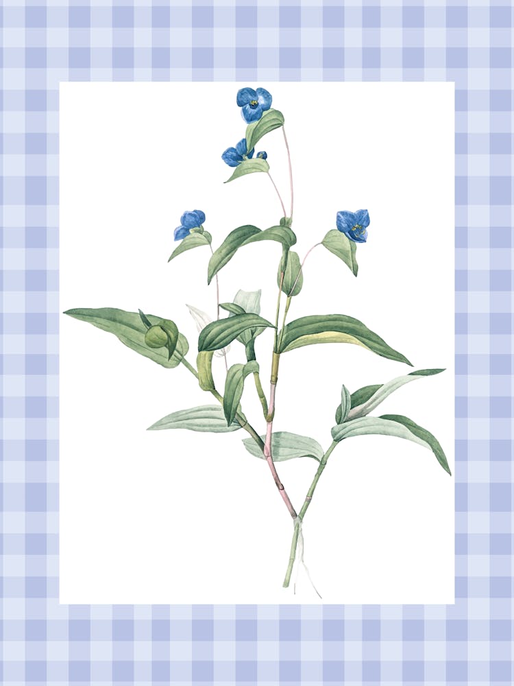 Bluebells | Baby blue gingham 1