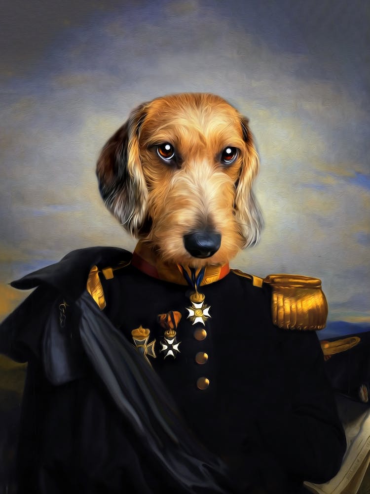 Amazing Keesie The Dachshund Pet Portraits