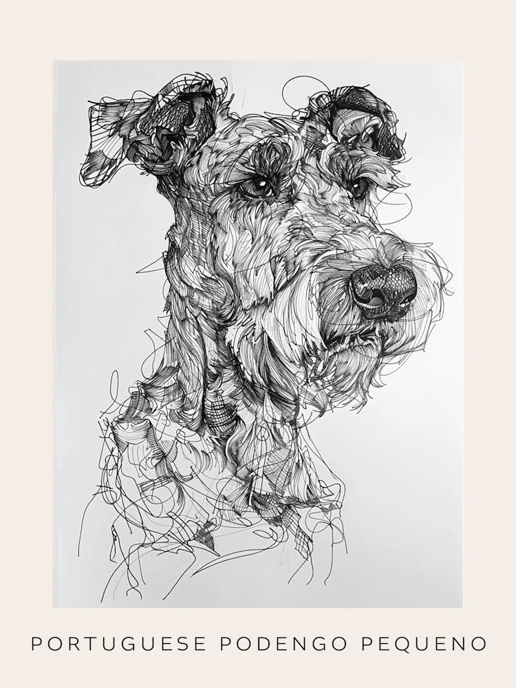 Portuguese Podengo Pequeno Dog Line Sketch 3 Poster