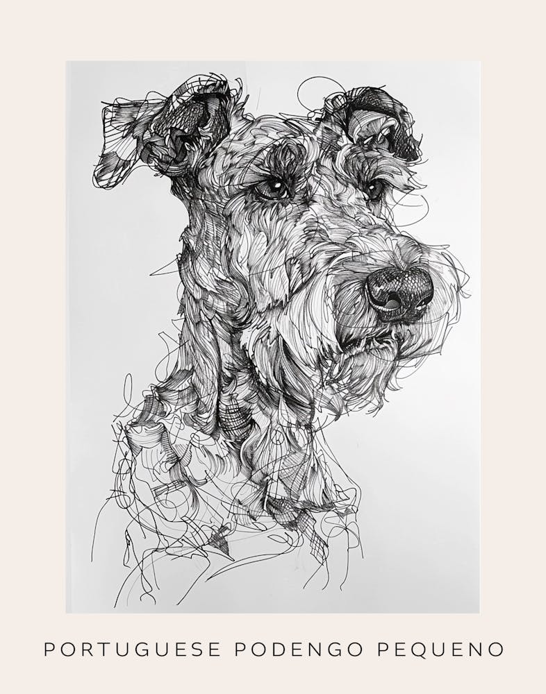 Portuguese Podengo Pequeno Dog Line Sketch 3 Poster