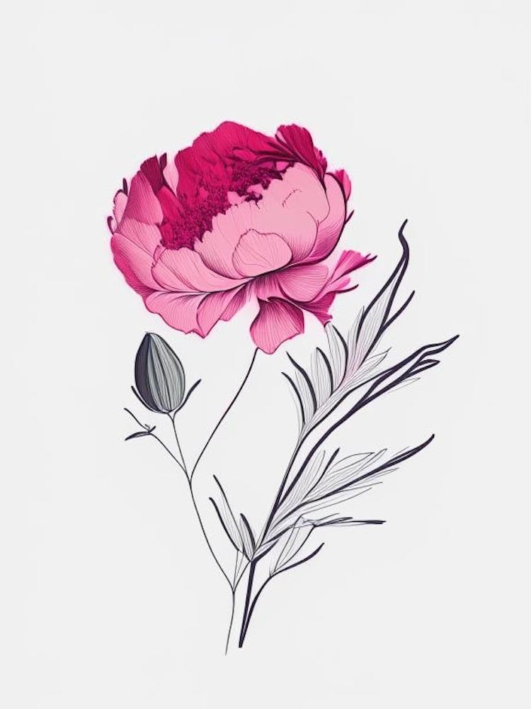 Peony Floral Minimal Line Drawing 1 Flower