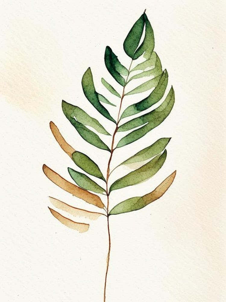 Tamarind Leaf Minimalist Watercolour