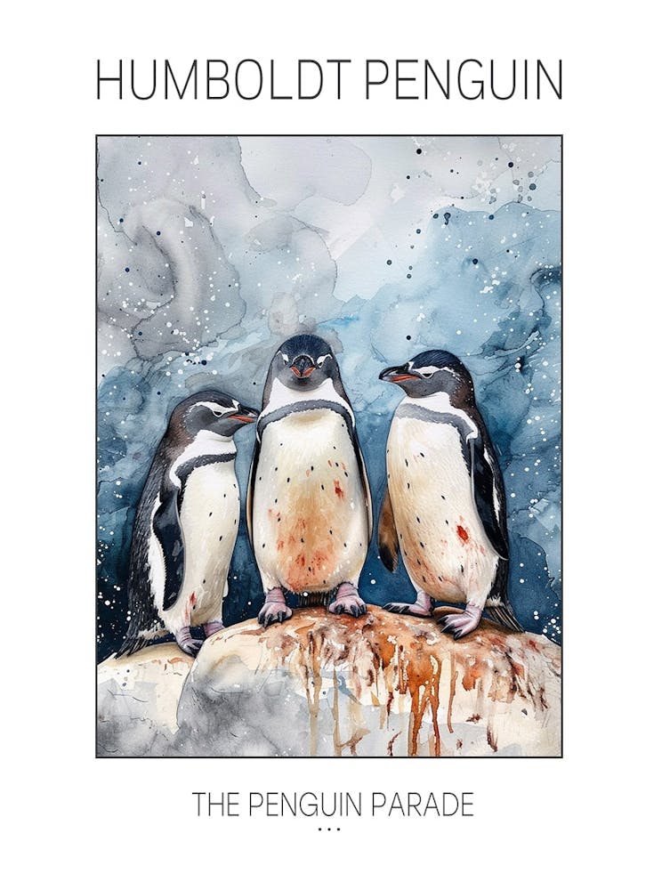 Humboldt Penguin Phillip Island The Penguin Parade Watercolour Painting 1 Poster