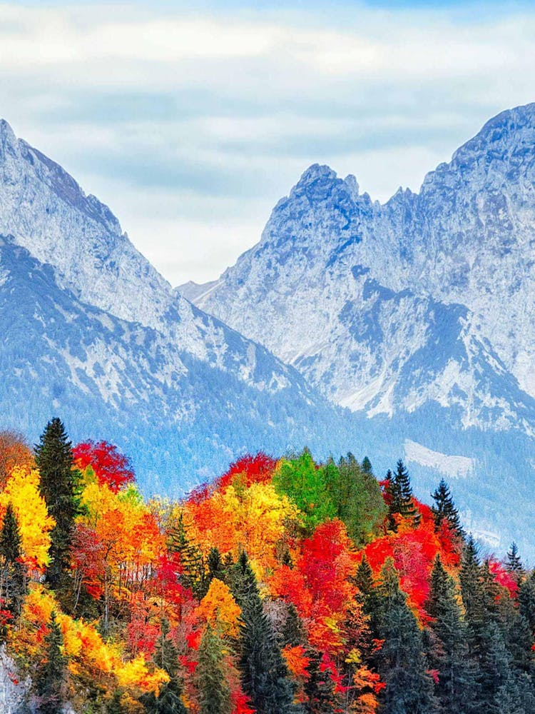 Autumn In Slovakia
