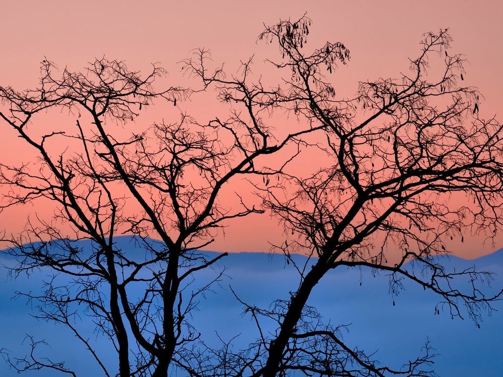 Palette der Natur, Rosa und Blau