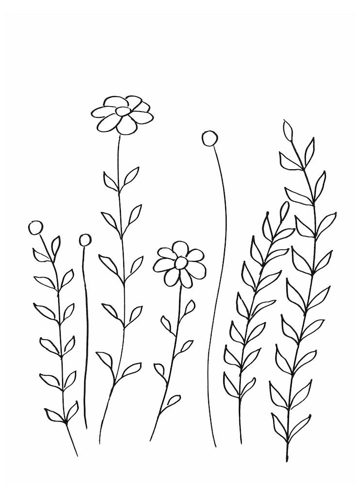 Minimal Flowers And Leaves 2