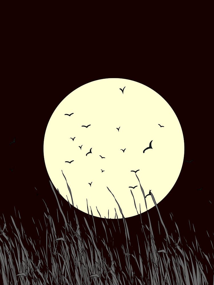 Full Moon In The Grass