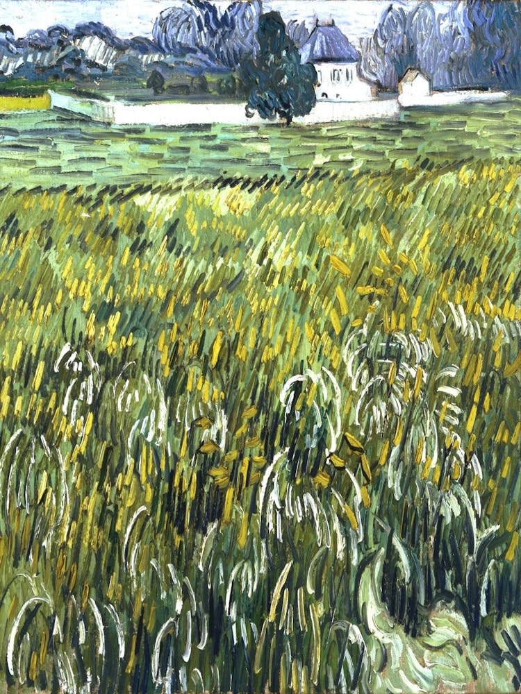 Field Of Wheat 2