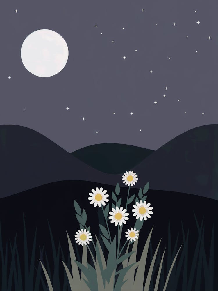 Night Sky With Daisies