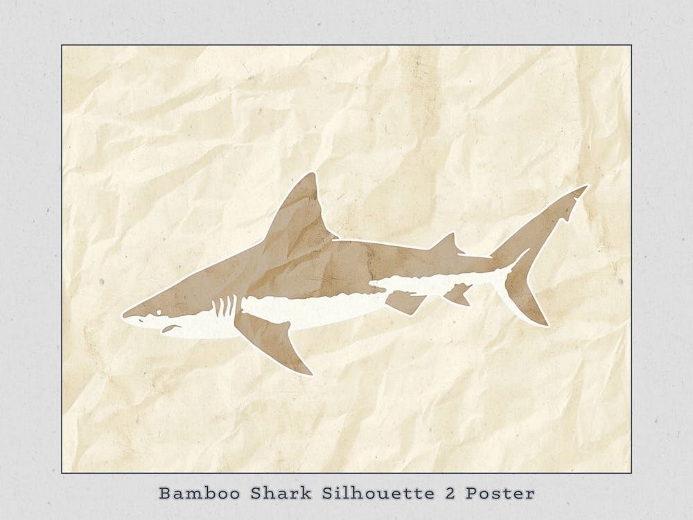 Bamboo Shark Silhouette 2 Poster