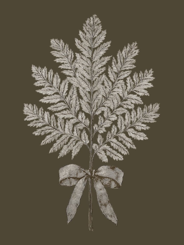 Vintage Fern