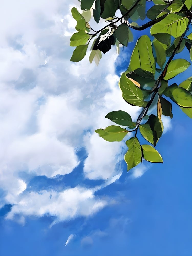 Ciel Bleu Avec Nuages 1