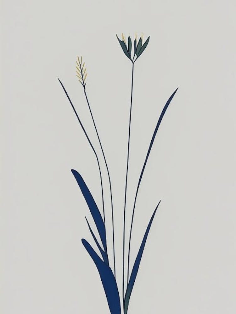 Pickerel Weed Wildflower Simplicity