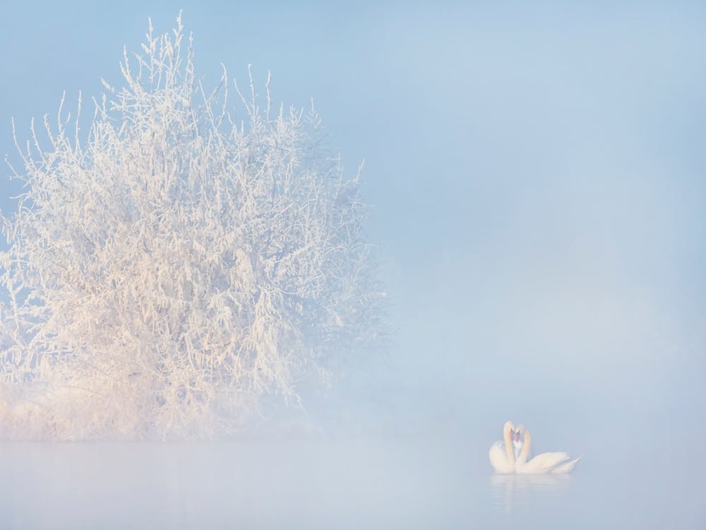 Love Story In The Winter