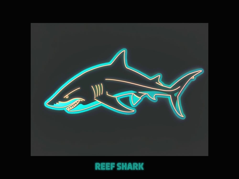 Neon White Tip Reef Shark 7 Poster
