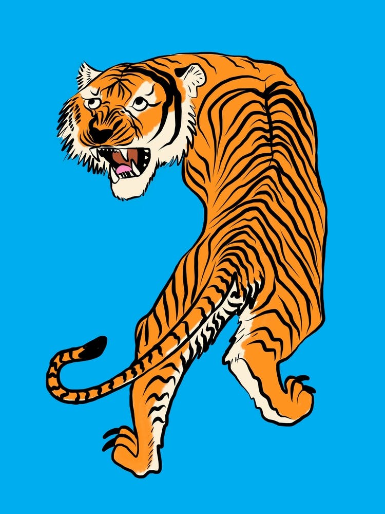Tiger In Orange And Blue