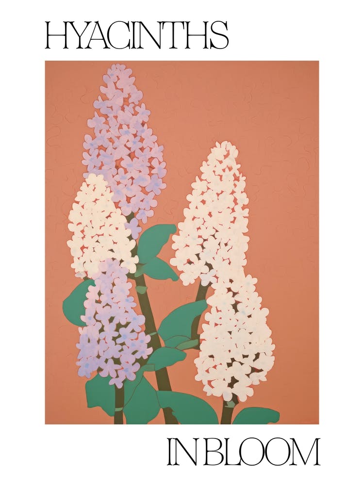 Jacinthes en Fleur Fleurs Illustration Audacieuse 3