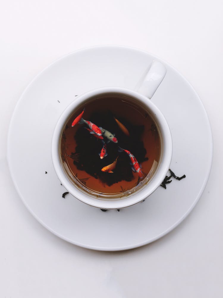 A Cup of Koi Tea, Fish 