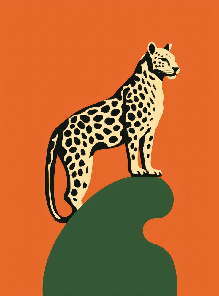 Leopard On A Rock