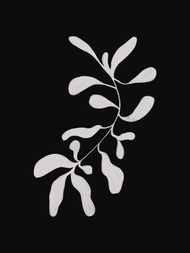 Floral Black And White