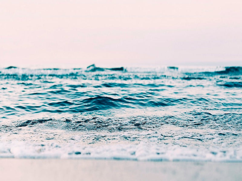 Ocean Blush