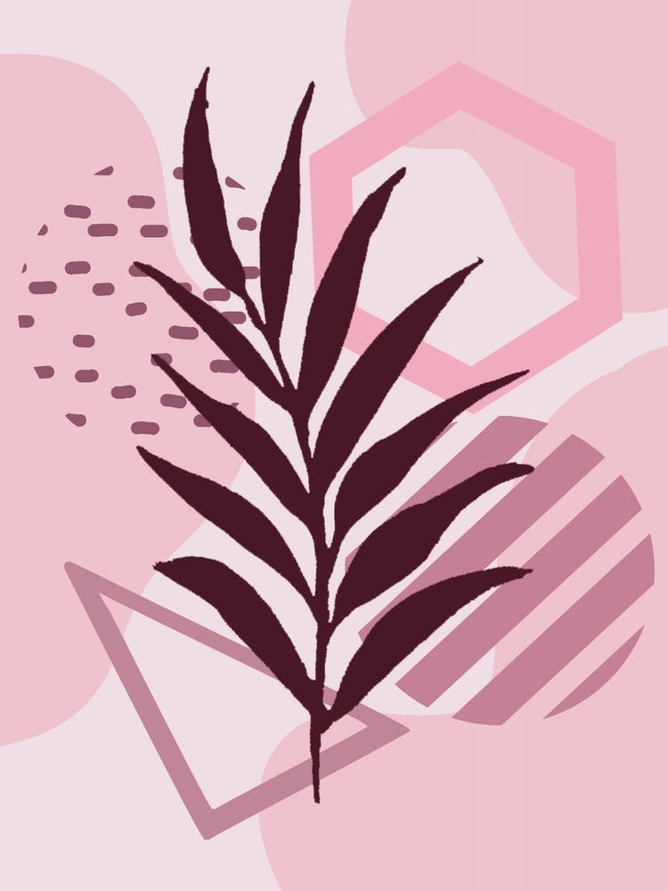 Palm Leaf On A Pink Background