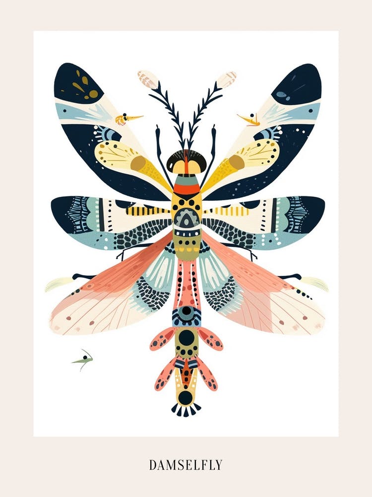 Colourful Insect Illustration Damselfly 8 Poster