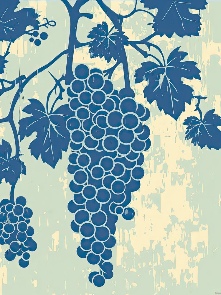 Grapes Illustration 1