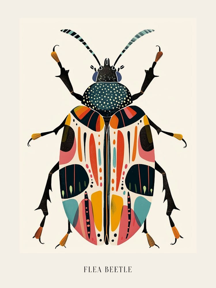 Colourful Insect Illustration Flea Beetle 3 Poster