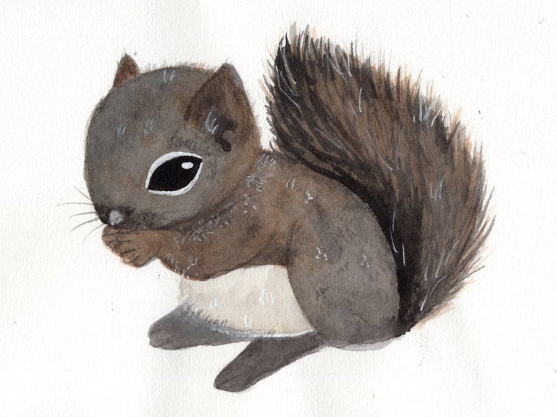 Bébé Écureuil