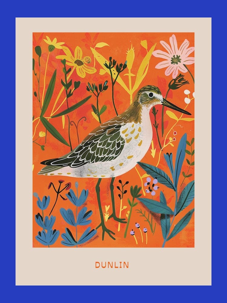 Frühlingsvögel Poster Alpenstrandläufer 3