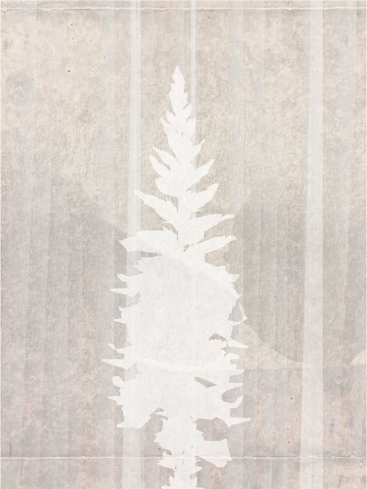 Zen Plant Art