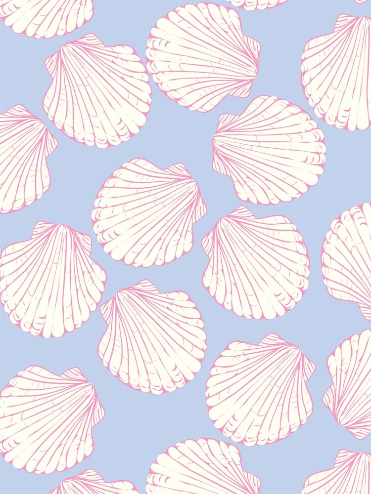 Seashell Pattern