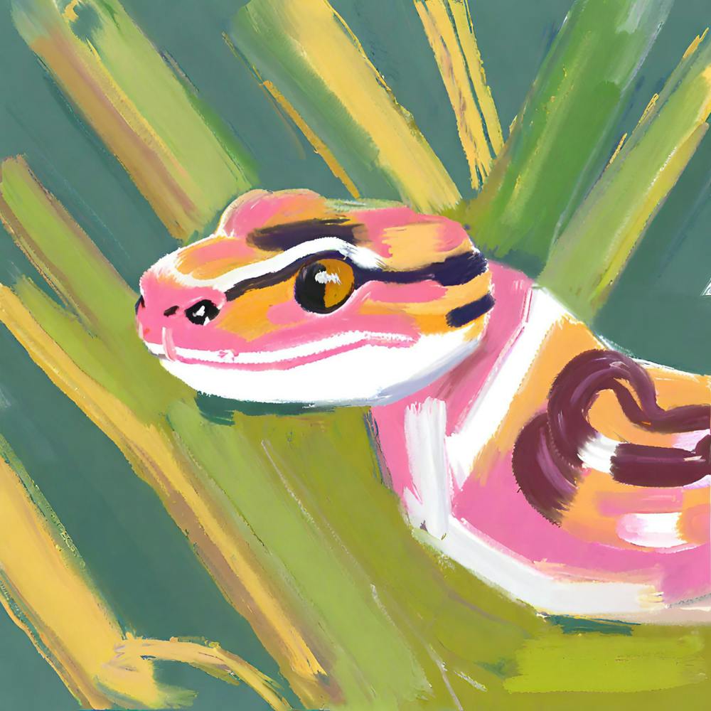 Corn Snake 05