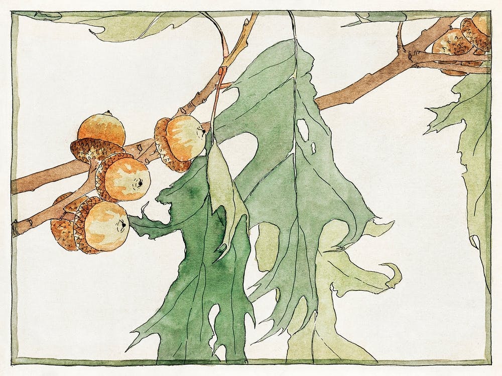 Oakacorns (1915), Hannah Borger Overbeck