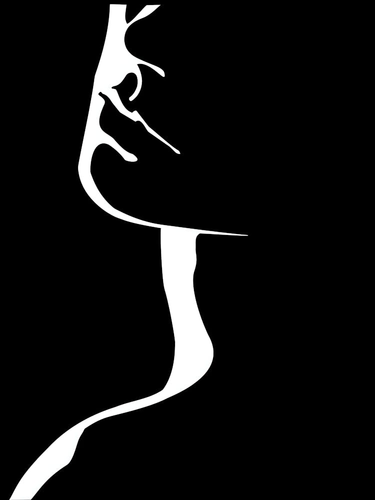 Silhouette Of A Woman'S Face