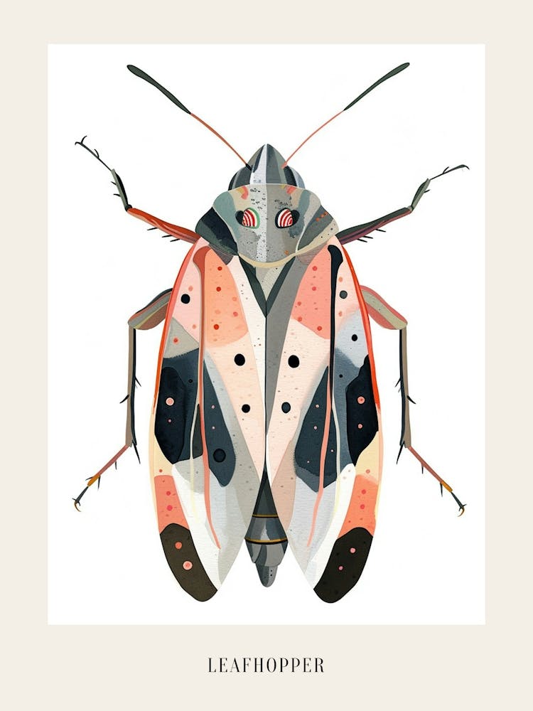 Colourful Insect Illustration Leafhopper 7 Poster