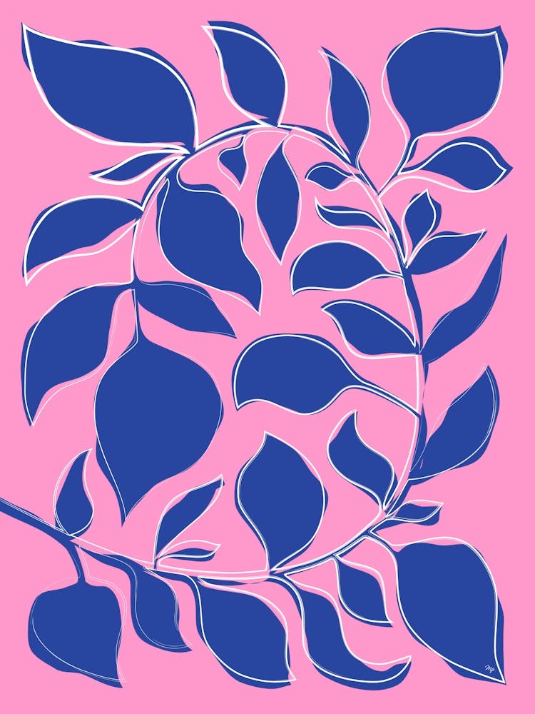 Bold Plant