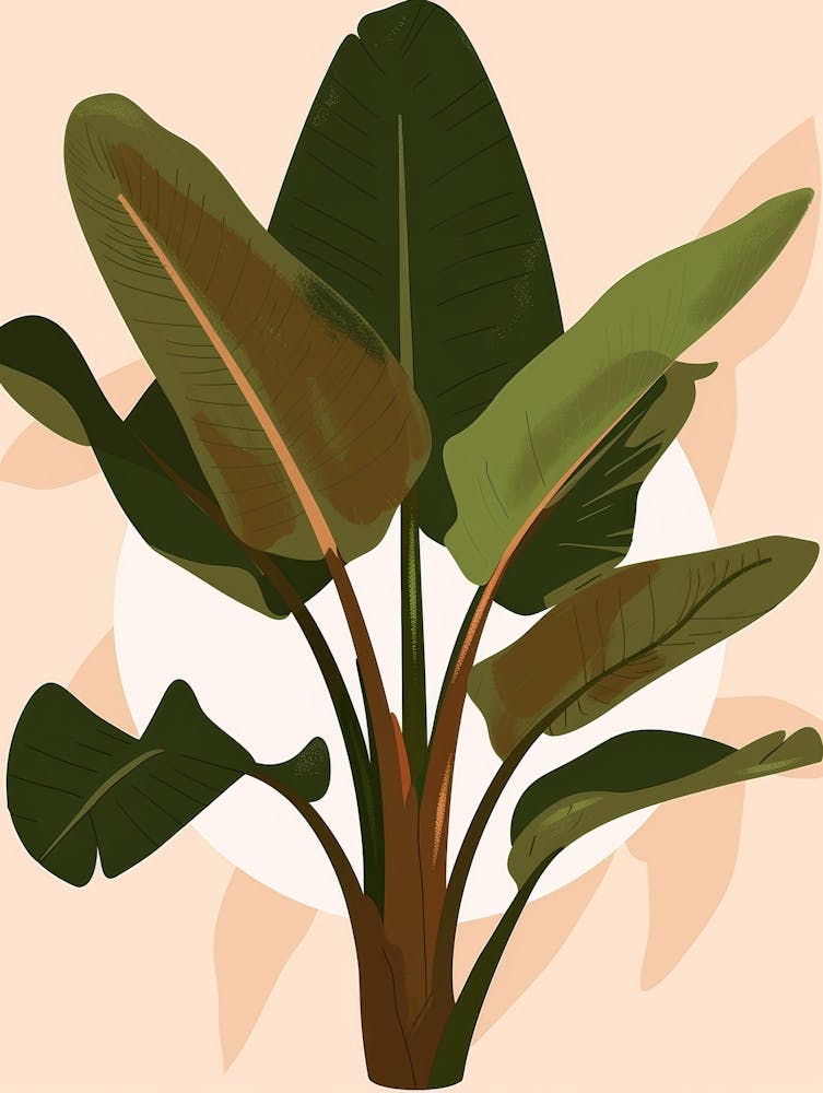 Banana Plant 5