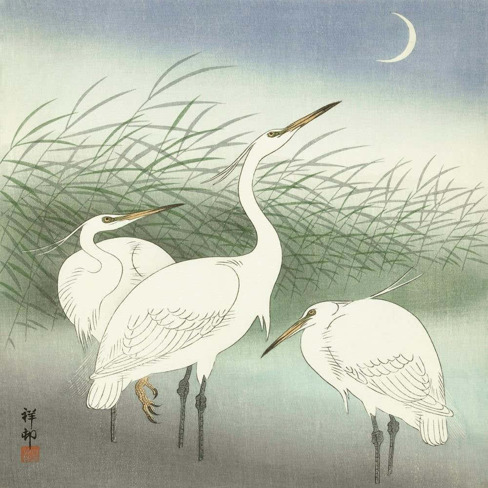 Herons In Shallow Water, Ohara Koson Vintage Japanese