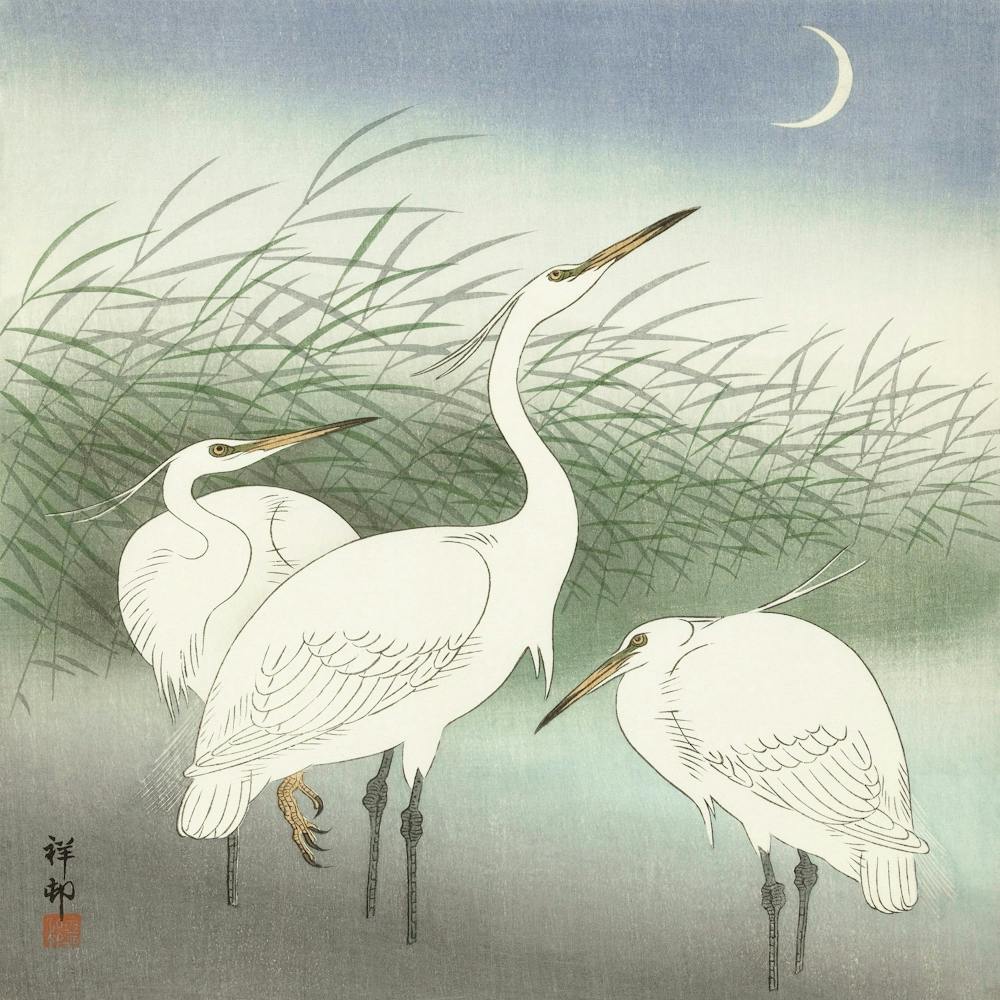 Herons In Shallow Water, Ohara Koson Vintage Japanese