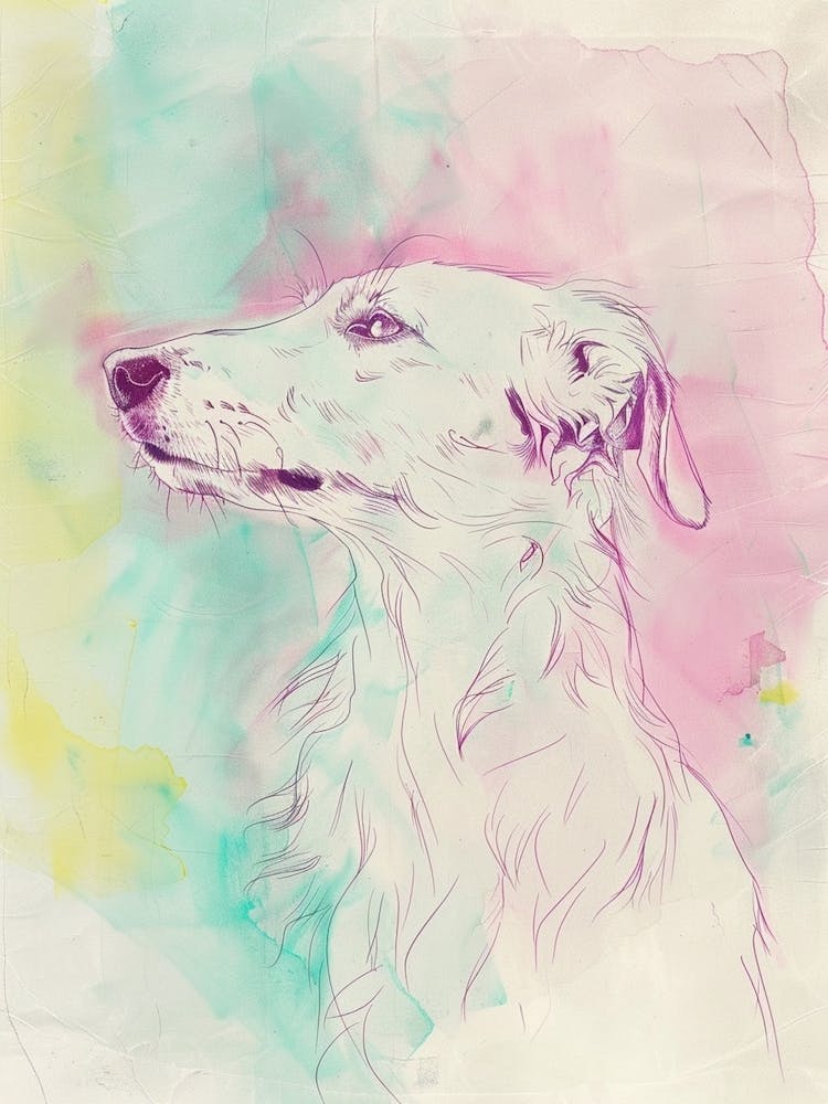 Borzoi Dog Pastel Line Watercolour Illustration  1