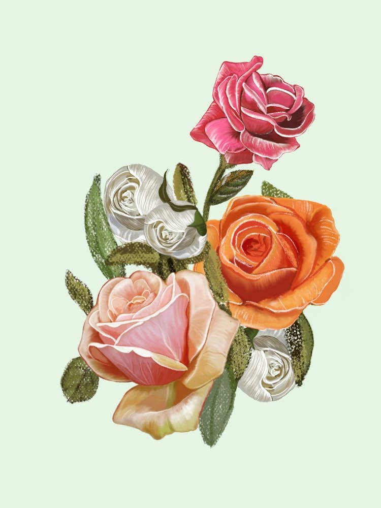Heirloom Roses