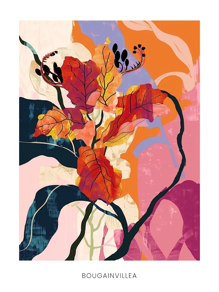 Colourful Flower Illustration Poster Bougainvillea 3