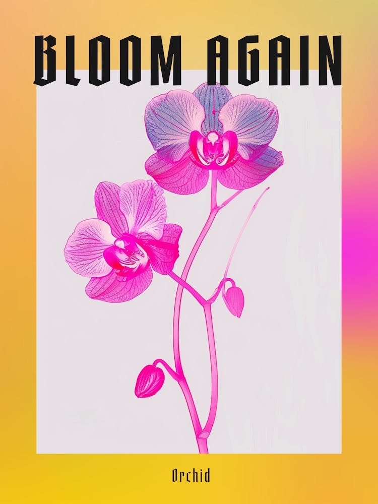 Hot Pink Orchid 3 Poster