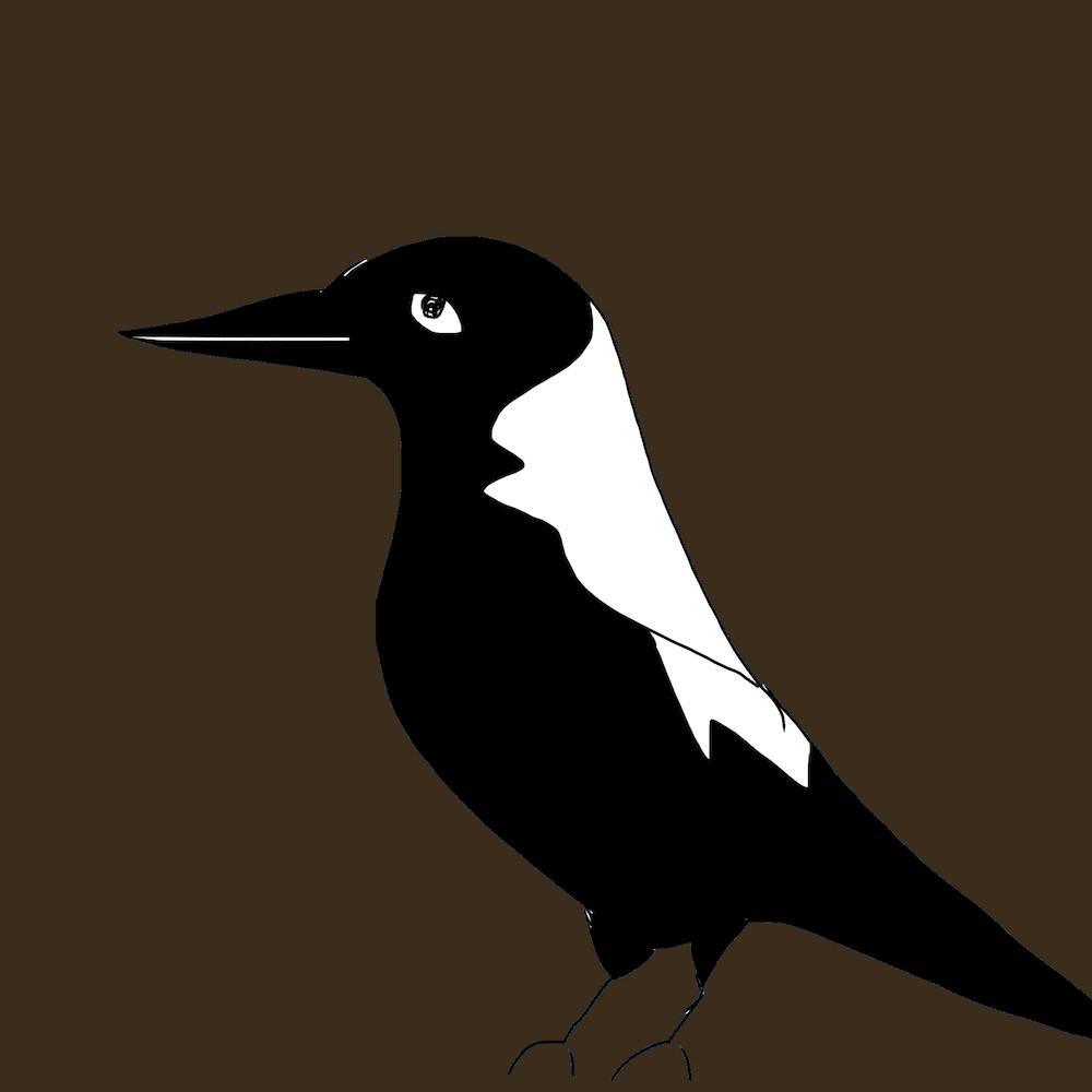 Maggie Magpie Square