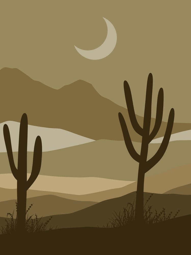Cactus In The Desert 25