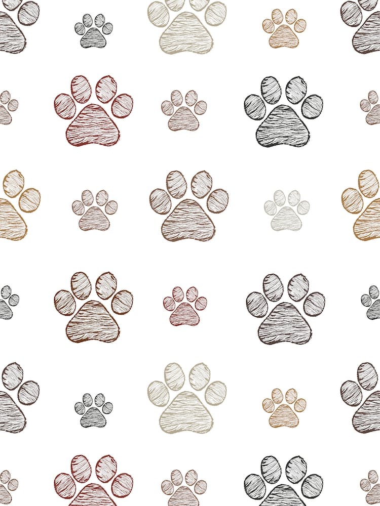 Doodle Paw Print Pattern